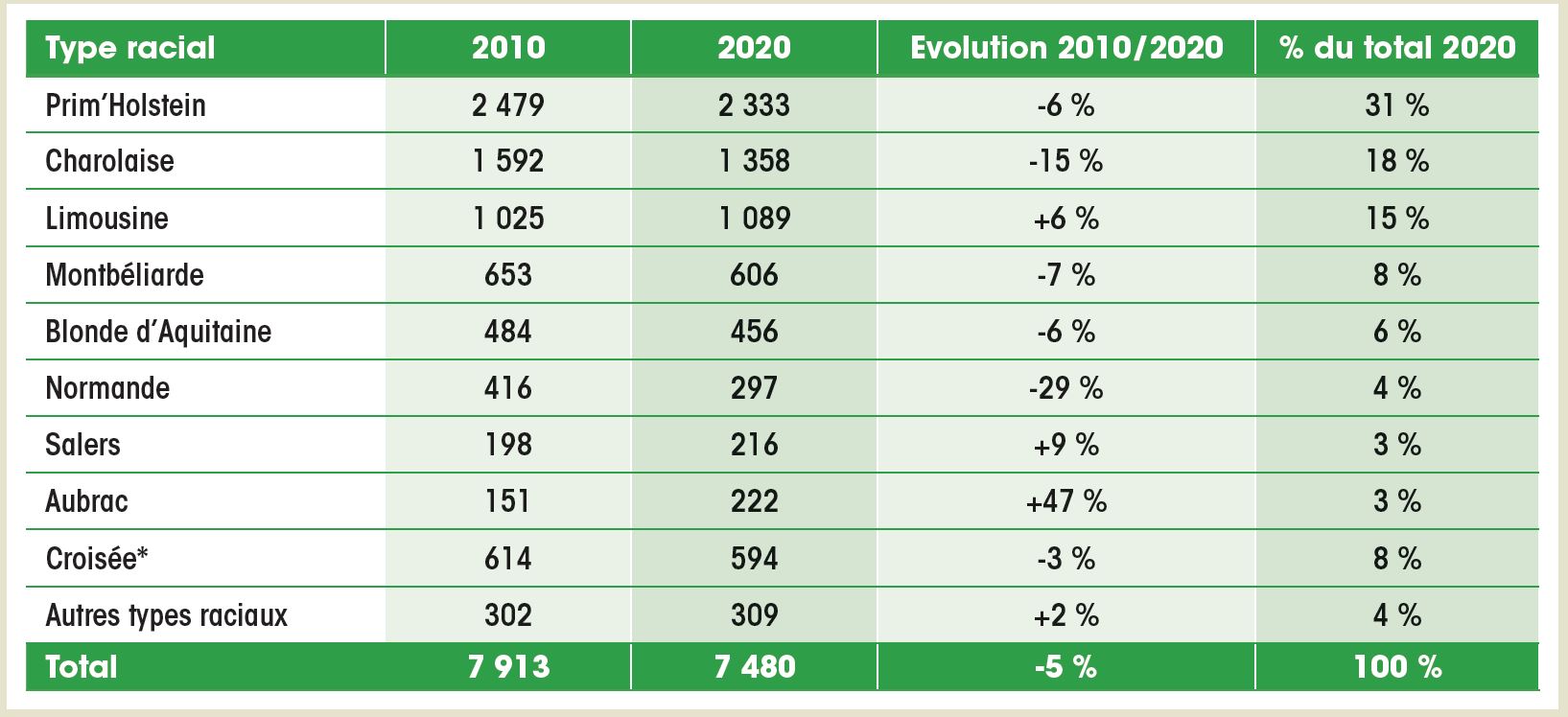 Le cheptel bovin et la production de viande bovine Economie & Métiers Laviande.fr